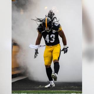 Troy Polamalu desktop wallpaper