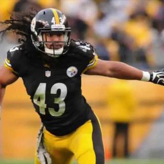 Troy Polamalu desktop wallpaper