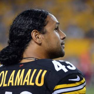 Troy Polamalu desktop wallpaper