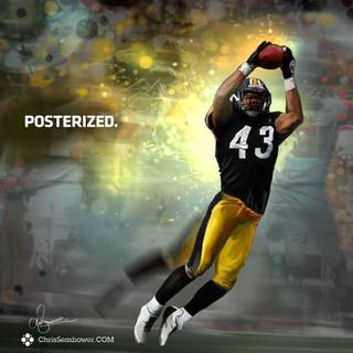 Troy Polamalu desktop wallpaper