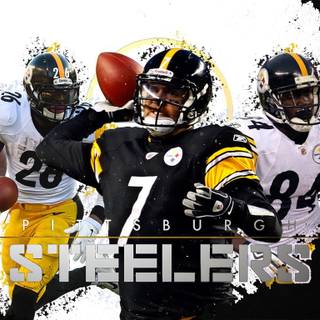 Troy Polamalu desktop wallpaper