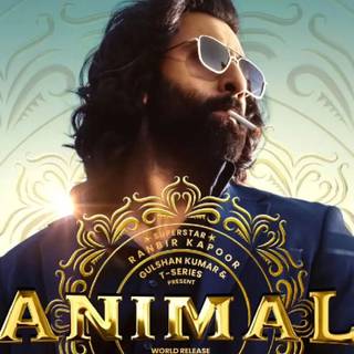 Animal Ranbir Kapoor wallpaper