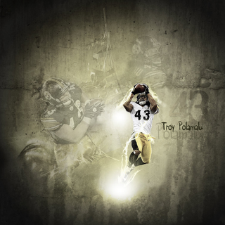 Troy Polamalu desktop wallpaper