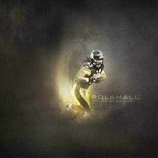 Troy Polamalu desktop wallpaper