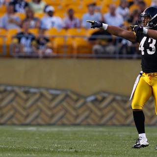 Troy Polamalu desktop wallpaper