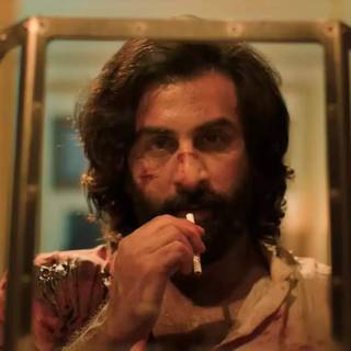 Animal Ranbir Kapoor wallpaper