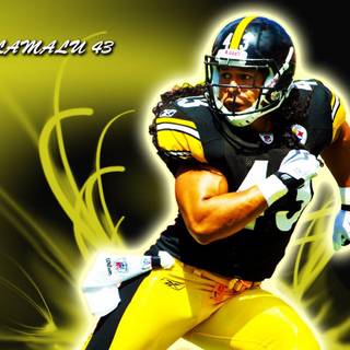 Troy Polamalu desktop wallpaper