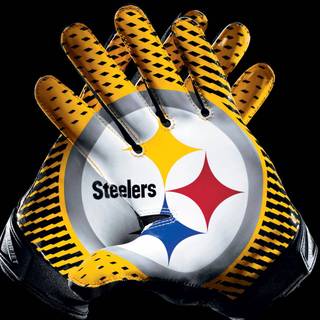 Troy Polamalu desktop wallpaper