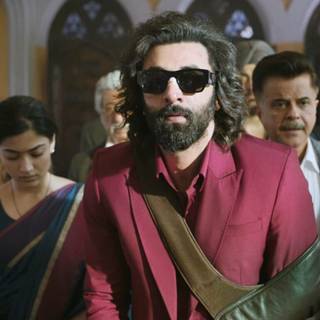 Animal Ranbir Kapoor wallpaper