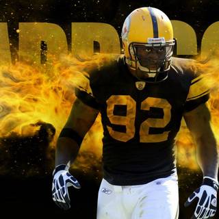 Troy Polamalu desktop wallpaper