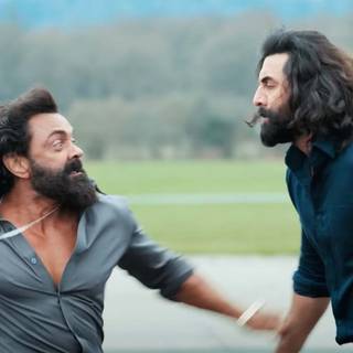 Animal Ranbir Kapoor wallpaper