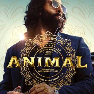 Animal Ranbir Kapoor wallpaper