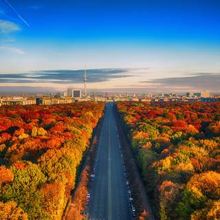 Autumn cityscape wallpaper