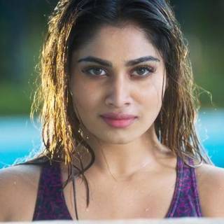 Naai Sekar wallpaper