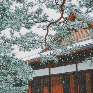 China winter phone wallpaper