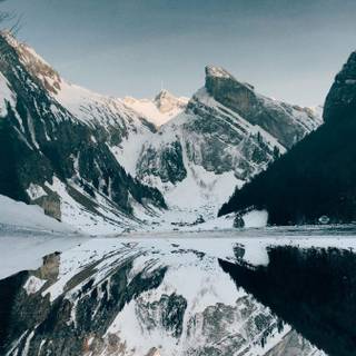 Winter iPhone 8 Plus wallpaper