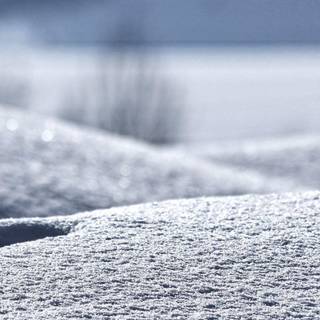 Winter iPhone 8 Plus wallpaper