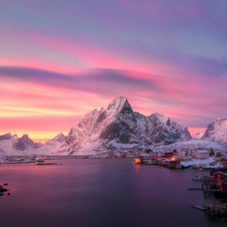 Pink lake winter wallpaper