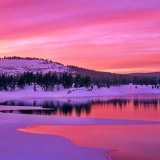 Pink lake winter wallpaper