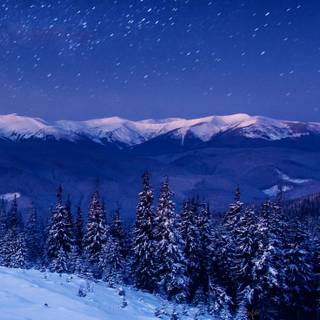 Winter iPhone 8 Plus wallpaper