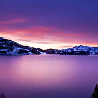 Pink lake winter wallpaper