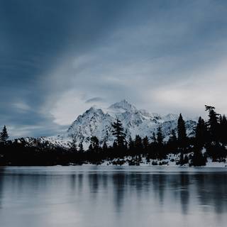 Winter iPhone 8 Plus wallpaper