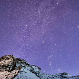 Winter iPhone 8 Plus wallpaper