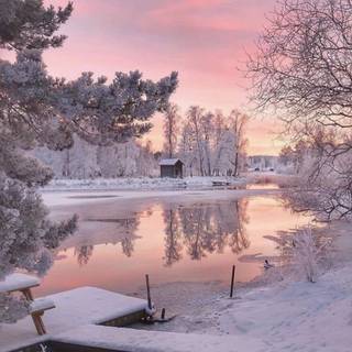 Pink lake winter wallpaper