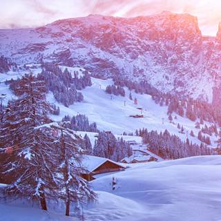 Winter iPhone 8 Plus wallpaper