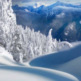 Winter iPhone 8 Plus wallpaper