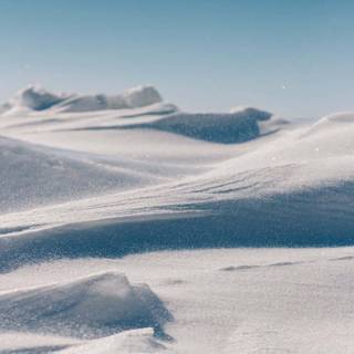 Winter iPhone 8 Plus wallpaper