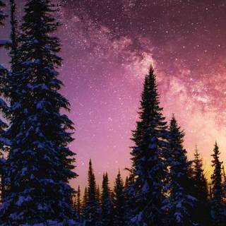 Milky way winter wallpaper