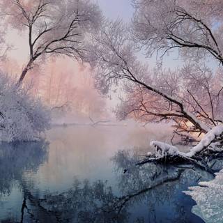 Lake winter Christmas wallpaper