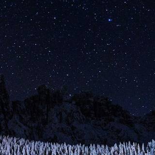 Winter iPhone 8 Plus wallpaper