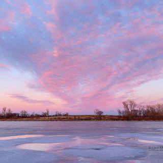 Pink lake winter wallpaper