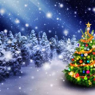 Snowy Xmas tree wallpaper