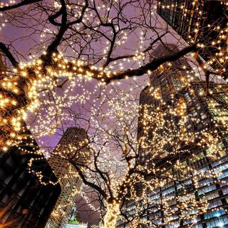 Christmas lights laptop wallpaper