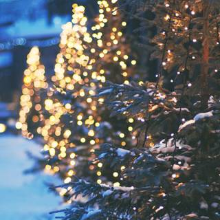 Christmas lights laptop wallpaper