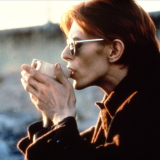 The Man Who Fell To Earth wallpaper