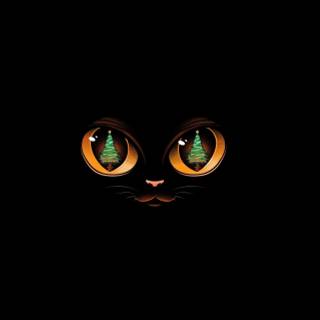 Black cat eyes wallpaper