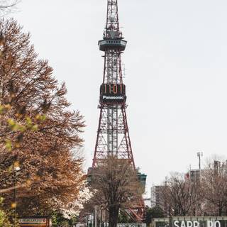 Hokkaido Odori Park wallpaper