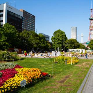 Hokkaido Odori Park wallpaper