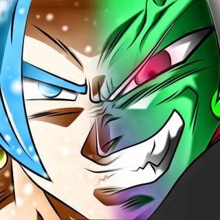 Vegito and Zamasu wallpaper