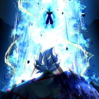 Vegito and Zamasu wallpaper