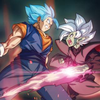 Vegito and Zamasu wallpaper
