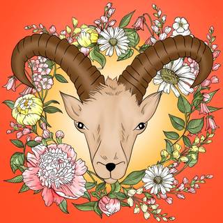 Birthday for capricorn wallpaper