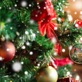 Lễ Giáng sinh wallpaper