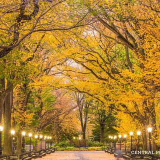 New York autumn desktop wallpaper