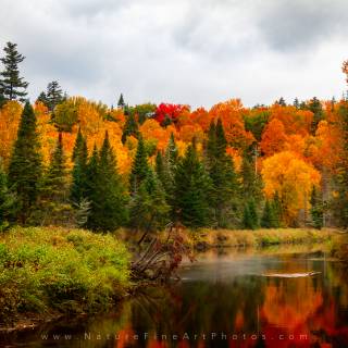 Upstate New York wallpaper