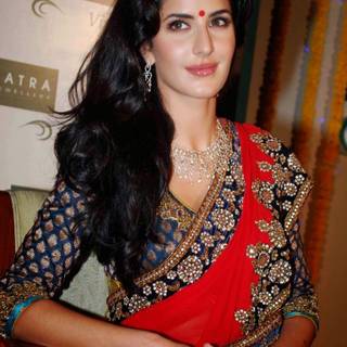 Katrina Kaif saree wallpaper